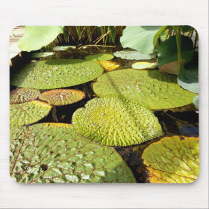 Tapis De Souris Souris de souris Lily Pads