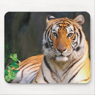 Tapis De Souris Souris de tigre