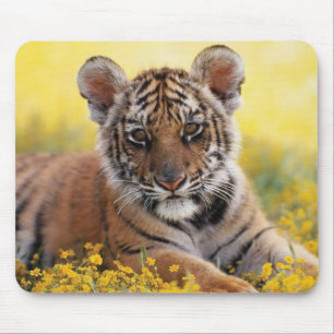 Tapis De Souris Souris de tigre cub