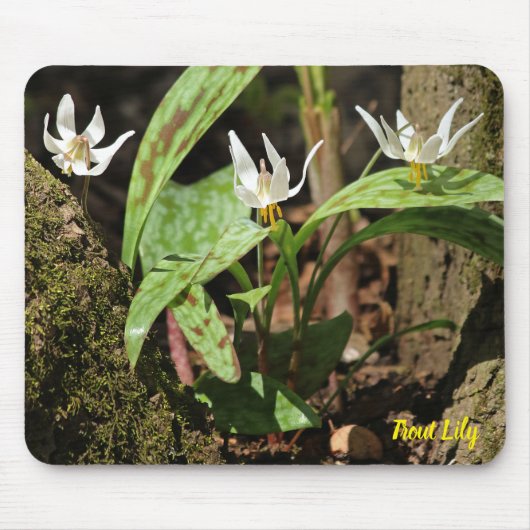 Tapis De Souris Souris de truite (Devant)