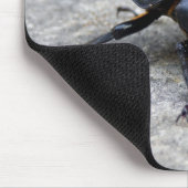 Tapis De Souris Souris du dendroctone du pin (Coin)