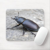 Tapis De Souris Souris du dendroctone du pin (Avec souris)