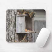 Tapis De Souris Souris écureuil (Avec souris)