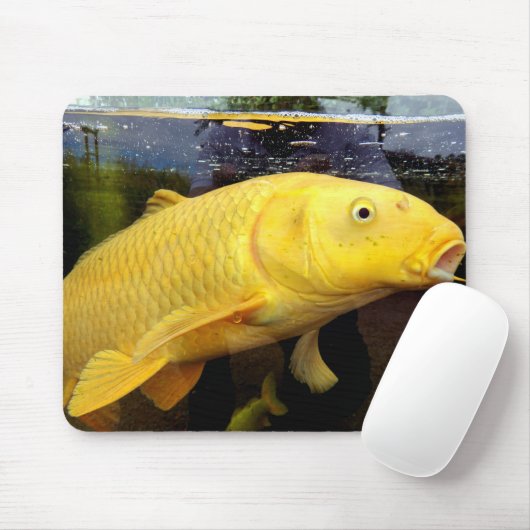 Tapis De Souris Souris Koi Carp (Avec souris)