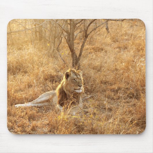 Tapis De Souris Souris Lion (Devant)