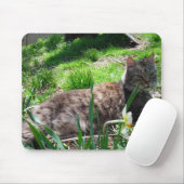 Tapis De Souris Souris Maine Coon (Avec souris)