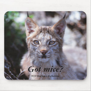 Tapis De Souris Souris obtenues ? ,