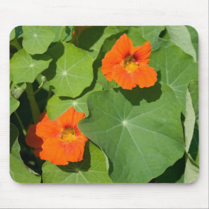 Tapis De Souris Souris Orange Nasturtium