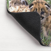 Tapis De Souris Souris Pad-Yellowstone Mountain Lion (Coin)