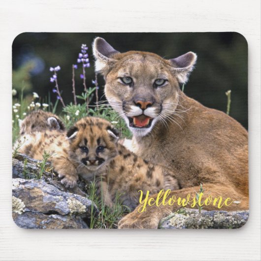 Tapis De Souris Souris Pad-Yellowstone Mountain Lion (Devant)
