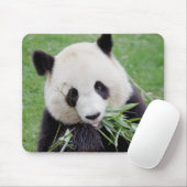 Tapis De Souris Souris Panda géant Photo, animaux 0261. (Avec souris)