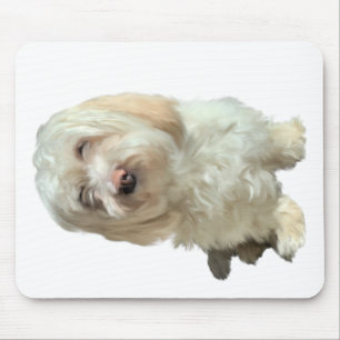 Tapis De Souris Souris papa Havanais chien