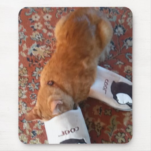 Tapis De Souris souris pavé ginger cat cool (Devant)