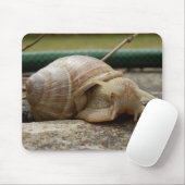 Tapis De Souris Souris romaine (Avec souris)