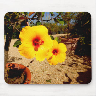Tapis De Souris Souris rose Hibiscus