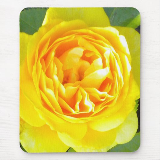 Tapis De Souris Souris rose jaune (Devant)