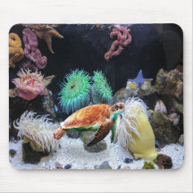 Souris Sea Life
