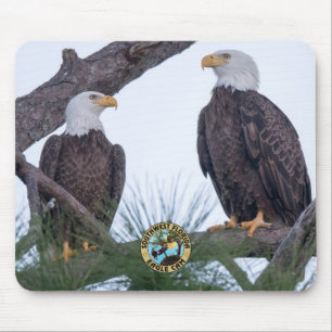 Tapis De Souris Souris-souris SWFL Eagle Cam