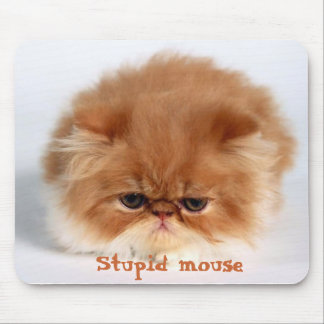Tapis De Souris Souris Stupide