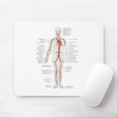 Tapis De Souris Souris système circulatoire humain Souris (Avec souris)