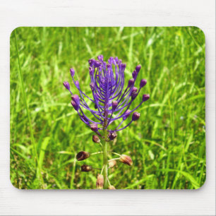 Tapis De Souris Souris Tassel-Hyacinth