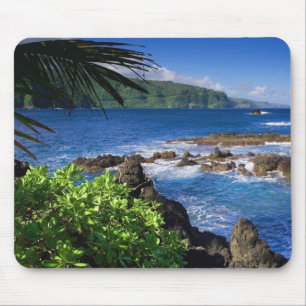 Tapis De Souris Souris Tropical Beach