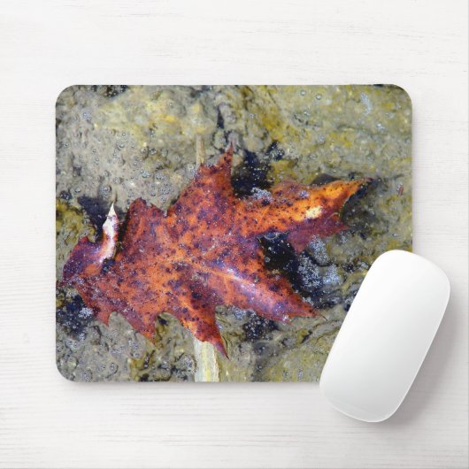 Tapis De Souris Sous l'eau (Avec souris)