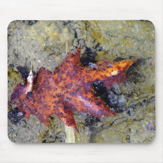 Tapis De Souris Sous l'eau (Devant)