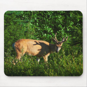 Tapis De Souris Soyez sur votre chemin