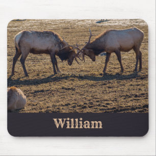 Tapis De Souris Sparring Bull Elk Nom personnalisé