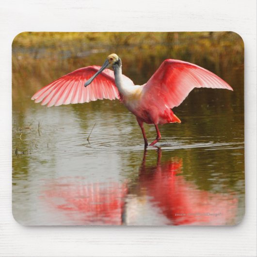 Tapis De Souris Spatule (Devant)