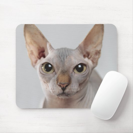 Tapis De Souris Sphinx chat animal mignon visage sans cheveux drôl (Avec souris)