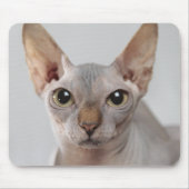 Tapis De Souris Sphinx chat animal mignon visage sans cheveux drôl (Devant)
