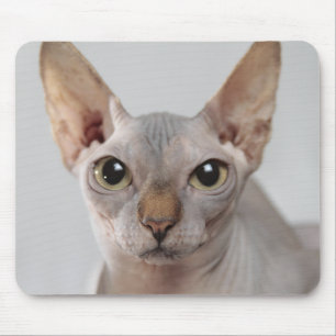 Tapis De Souris Sphinx chat animal mignon visage sans cheveux drôl