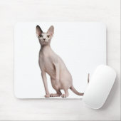 Tapis De Souris Sphynx (13 months old) (Avec souris)