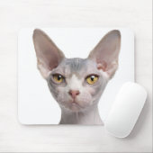 Tapis De Souris Sphynx (7 months old) (Avec souris)