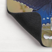 Tapis De Souris Spicebush Swallower (Coin)