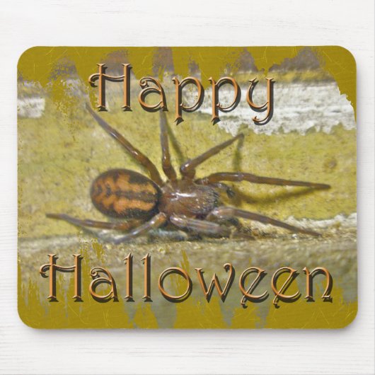 Tapis De Souris Spider Halloween Jours de coordination (Devant)