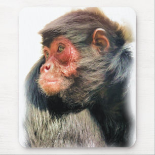 TAPIS DE SOURIS SPIDER MONKEY