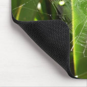 Tapis De Souris Spiderweb dans Tropical Leaves Nature (Coin)