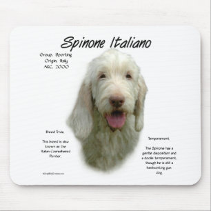 Tapis De Souris Spinone Italiano Histoire Design