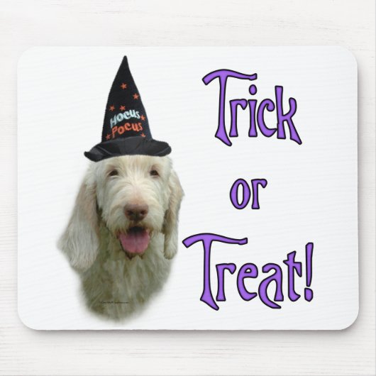 Tapis De Souris Spinone Trick Mousepad (Devant)