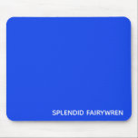 Tapis De Souris Splendid Fairywren Blue Colour<br><div class="desc">The Splendid Fairywren is a small Australian bird with bright blue plumage</div>