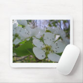 Tapis De Souris Spring blossom (Avec souris)