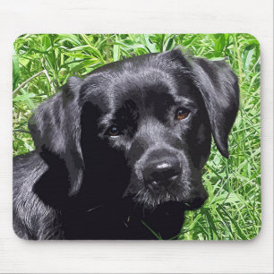 Tapis De Souris Spring Joy - Labrador Retriever - Black Lab