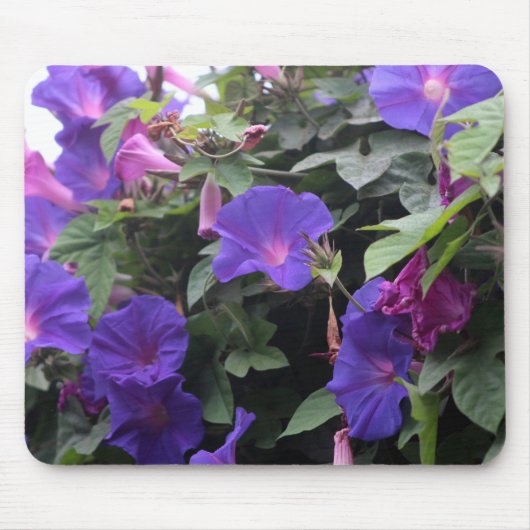 Tapis De Souris Spring Morning Glories en bleu (Devant)