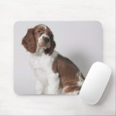 Tapis De Souris Springer spaniel (Avec souris)
