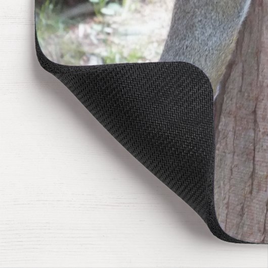 Tapis De Souris Squirel Souris (Coin)