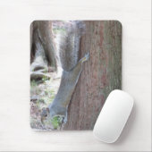 Tapis De Souris Squirel Souris (Avec souris)