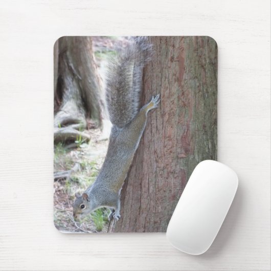 Tapis De Souris Squirel Souris (Avec souris)